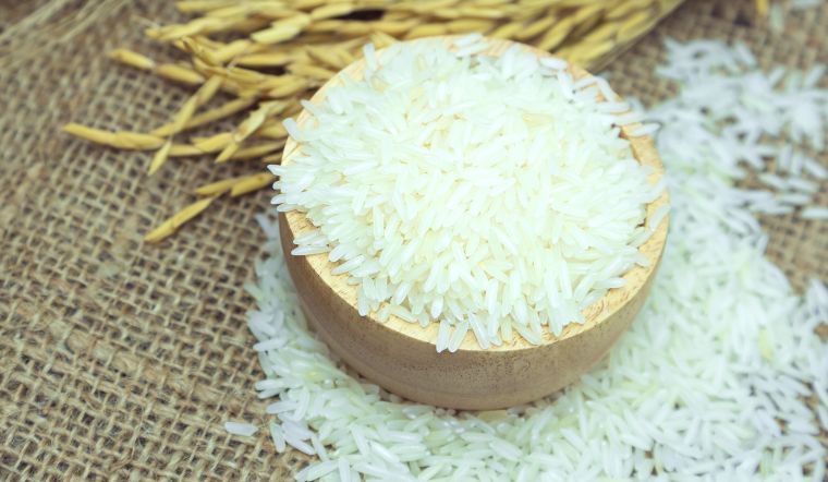 Giá lúa gạo hôm nay 16/3/2024: Không ghi nhận thay đổi