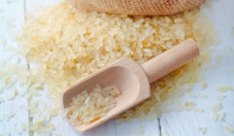 Giá lúa gạo hôm nay 20/3/2024: Lúa IR 50404 tăng 100 đồng/kg