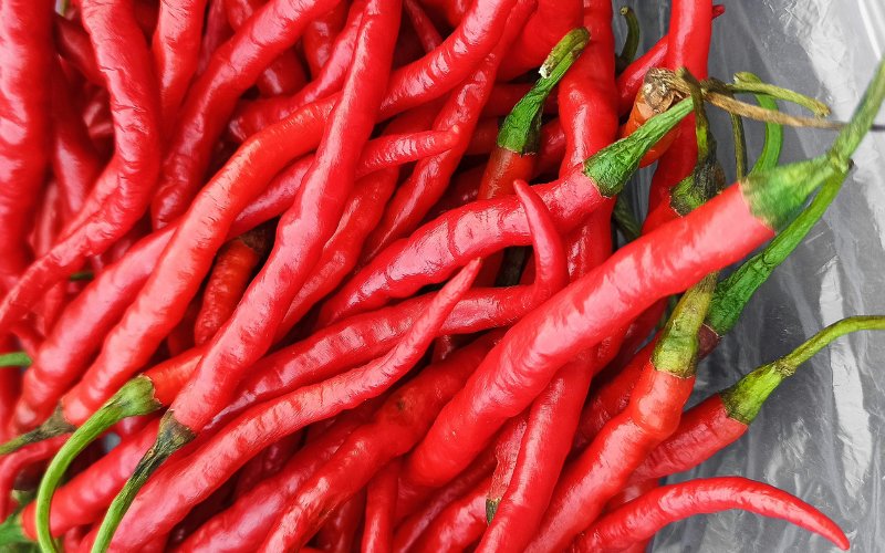 Giá ớt hôm nay 21/03/2024 mới nhất