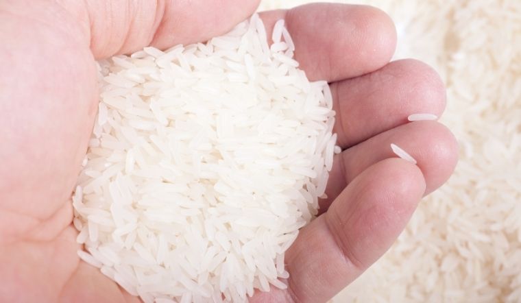 Giá lúa gạo hôm nay 21/3/2024: Nhiều giống lúa thay đổi