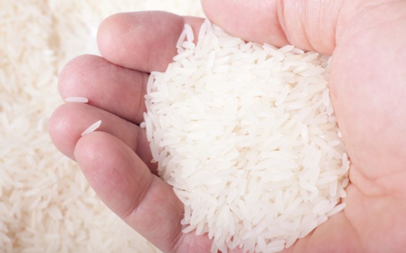 Giá gạo hôm nay 21/3