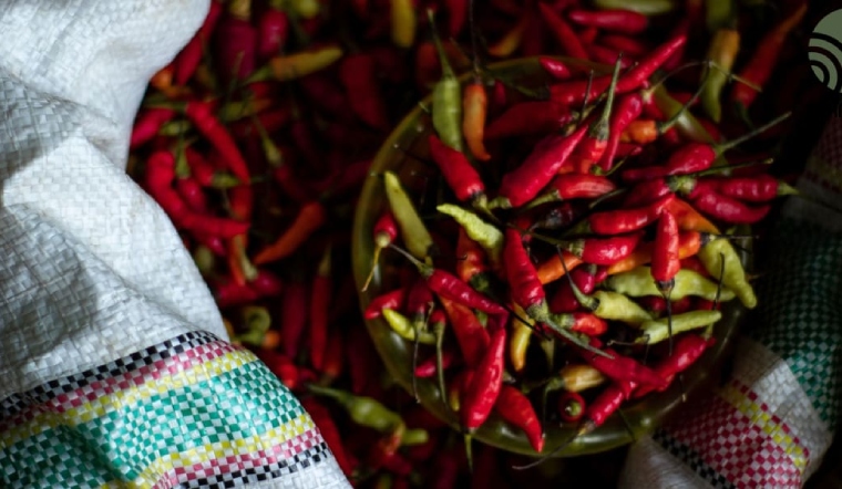 Giá ớt hôm nay 22/03/2024: Thị trường giá bình ổn