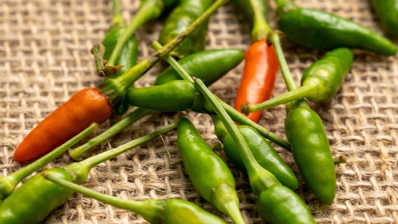 Giá ớt hôm nay 22/03/2024