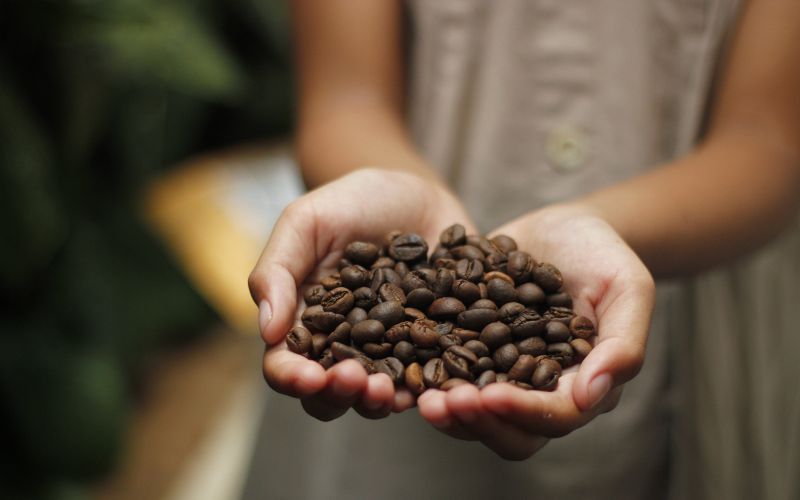 Giá cà phê Robusta giao dịch tại London