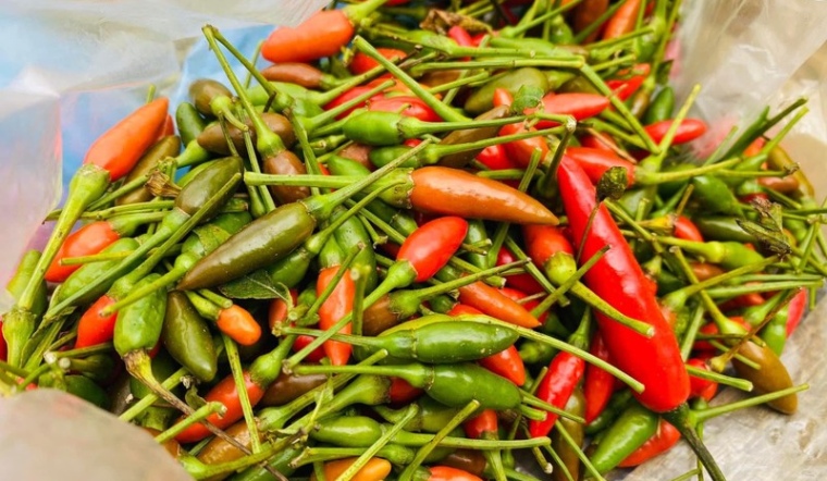 Giá ớt hôm nay 25/03/2024: Ảm đạm đầu tuần