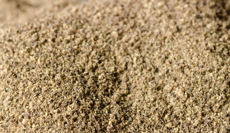 Giá tiêu hôm nay 25/03/2024: Tăng chạm mốc 96.000 đồng/kg