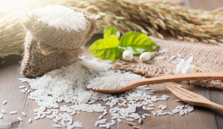 Giá lúa gạo hôm nay 25/3/2024: Nhiều giống lúa giảm giá