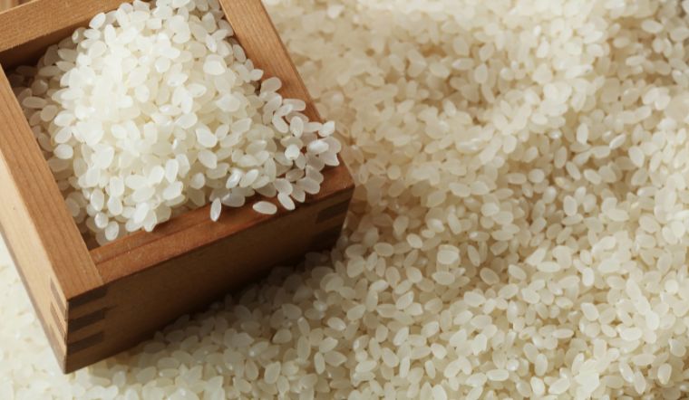 Giá lúa gạo hôm nay 26/3/2024: Tiếp tục giảm giá