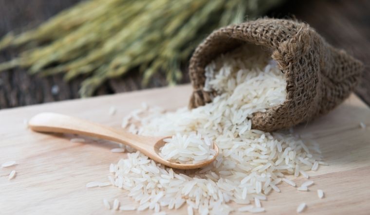 Giá lúa gạo hôm nay 27/3/2024: Đa số chững giá