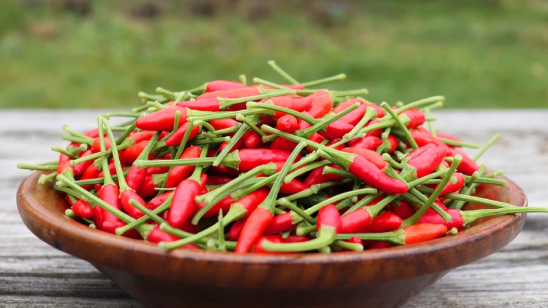 Giá ớt hôm nay 28/03/2024