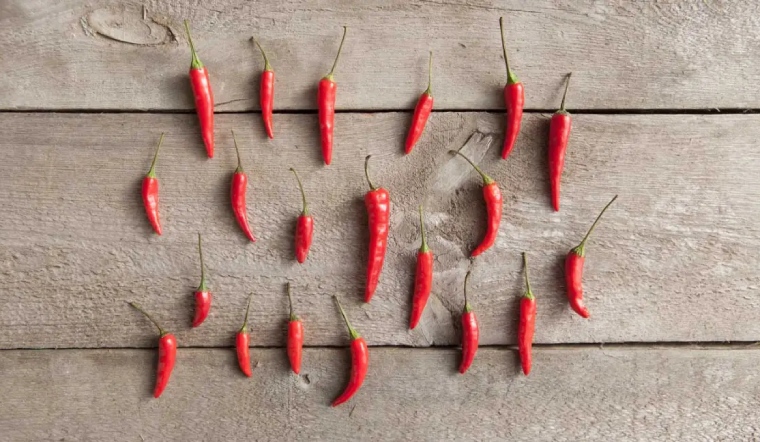 Giá ớt hôm nay 28/03/2024: Đồng loạt giảm 1.000 đồng/kg