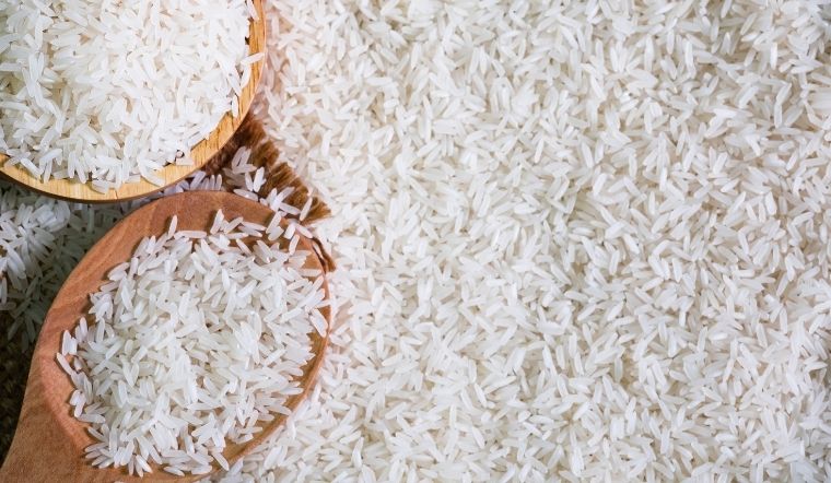 Giá lúa gạo hôm nay 28/3/2024: Tiếp tục chững giá