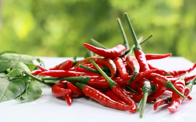 Giá ớt hôm nay 29/03/2024 cập nhật mới nhất