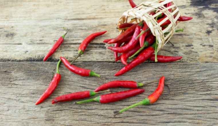 Giá ớt hôm nay 29/03/2024: Giữ nguyên như hôm qua