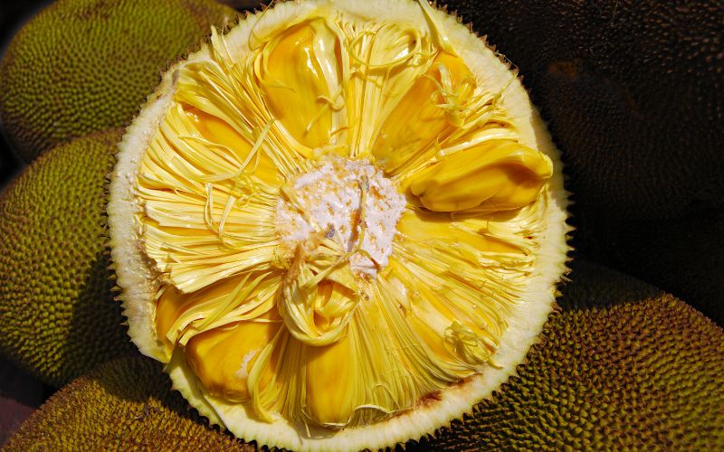 Giá mít Thái hôm nay 01/4