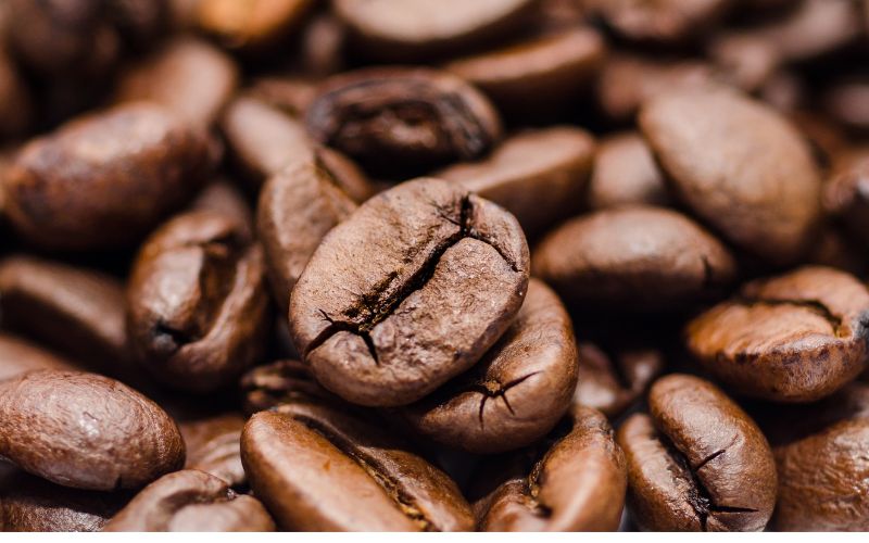 Giá cà phê trong nước hôm nay Giá cà phê trong nước hôm nay