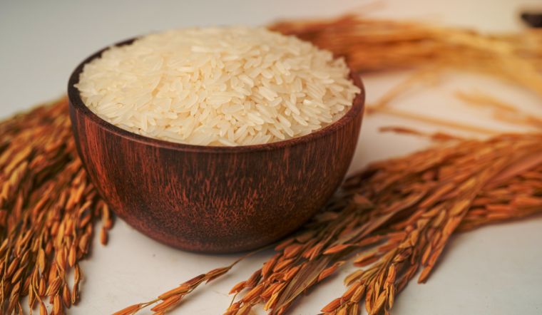 Giá lúa gạo hôm nay 02/4/2024: Vài giống lúa giảm giá