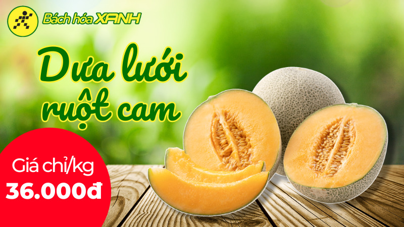 Từ 5/4 - 7/4/2024, dưa lưới tròn ruột cam giá chỉ 36.000đ/Kg Từ 5/4 - 7/4/2024, dưa lưới tròn ruột cam giá chỉ 36.000đ/Kg