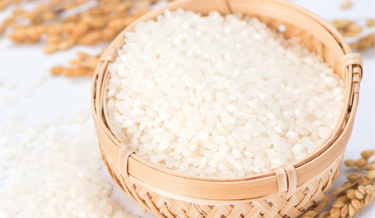 Giá lúa gạo hôm nay 05/4/2024: Tiếp tục ổn định