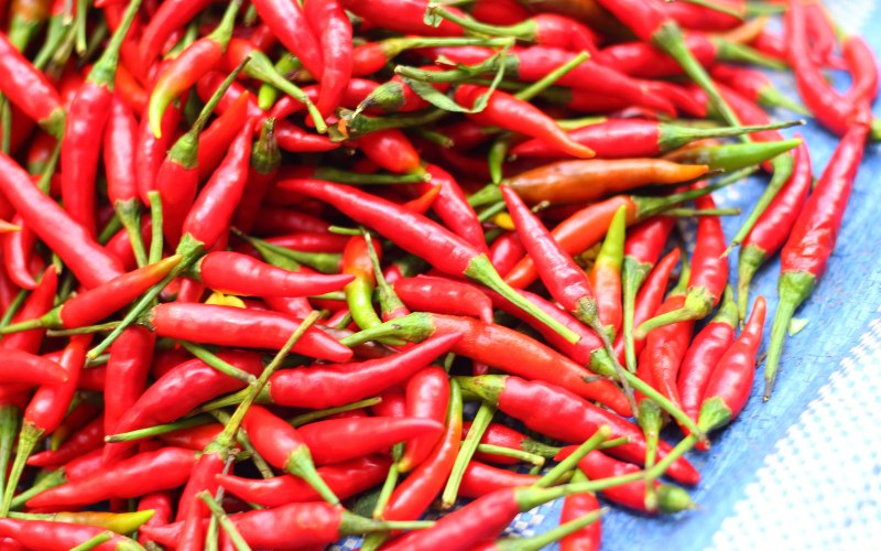 Giá ớt hôm nay 08/04/2024 mới nhất