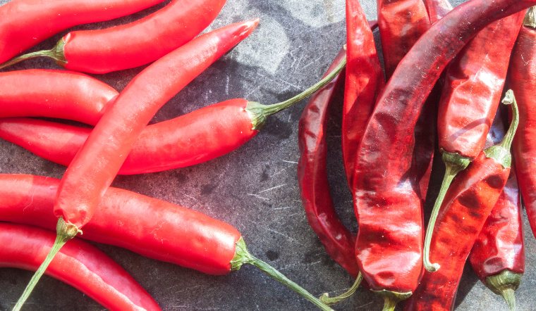 Giá ớt hôm nay 08/04/2024: Không ghi nhận chênh lệch