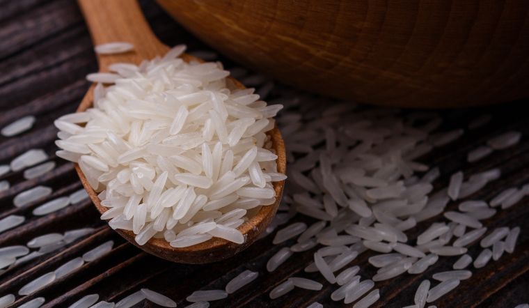 Giá lúa gạo hôm nay 08/4/2024: Nhiều giống lúa tăng giá