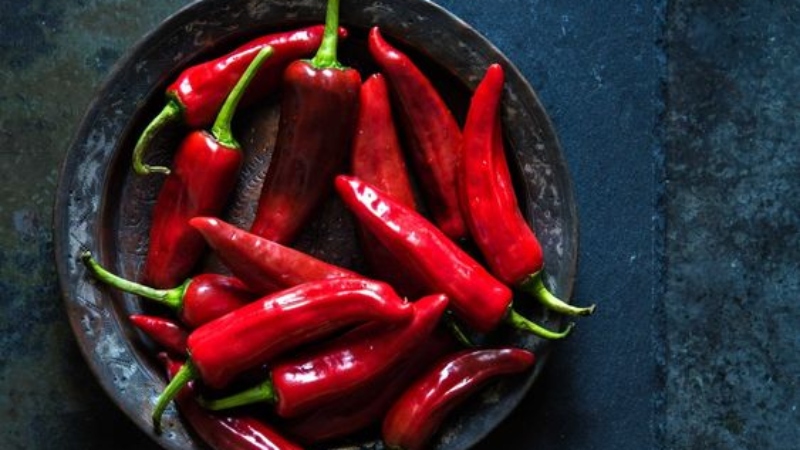 Giá ớt hôm nay 09/04/2024 mới nhất