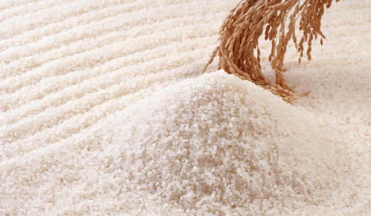 Giá lúa gạo hôm nay 10/4/2024: Tiếp tục duy trì ổn định