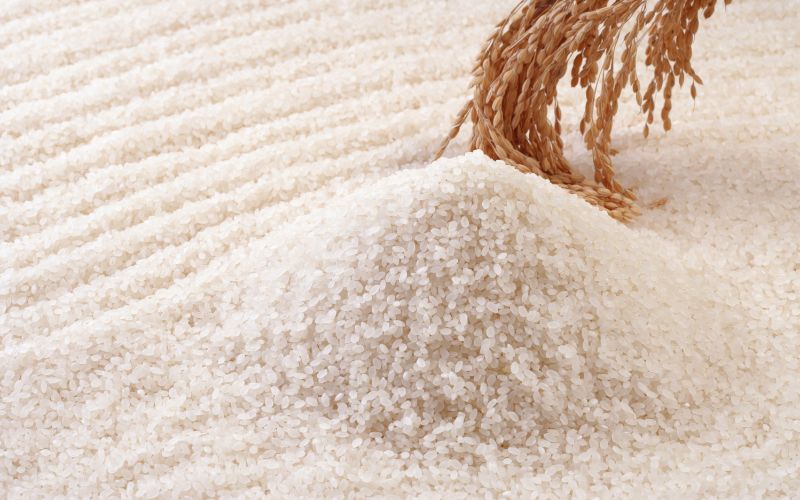 Giá gạo hôm nay 10/4