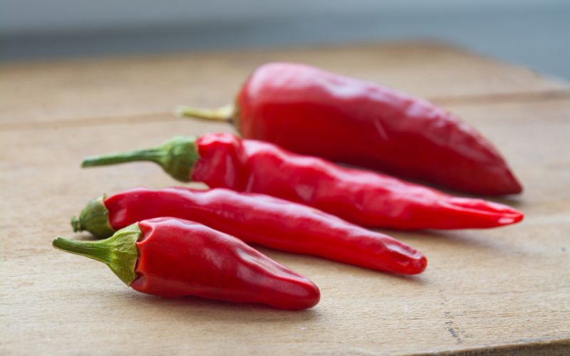 Giá ớt hôm nay 11/04/2024