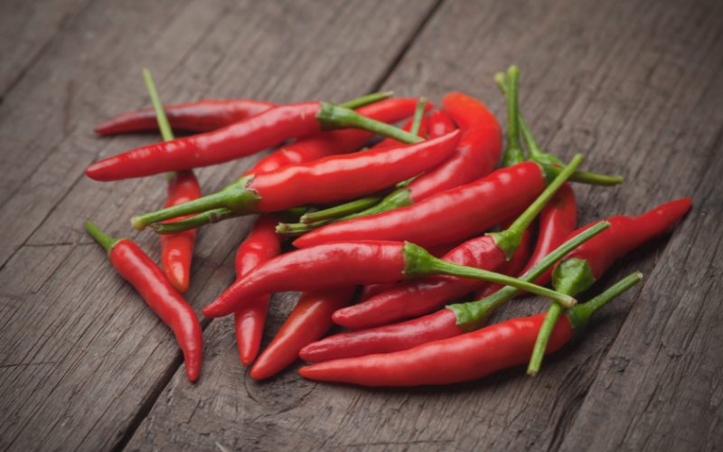 Giá ớt hôm nay 11/04/2024 cập nhật mới nhất