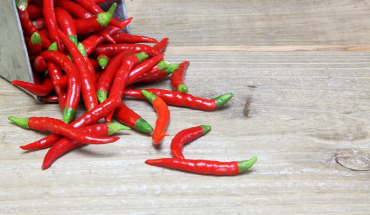 Giá ớt hôm nay 11/04/2024: Tăng nhẹ 1.000 đồng/kg