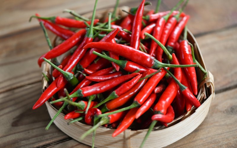 Giá ớt hôm nay 12/04/2024 cập nhật mới nhất