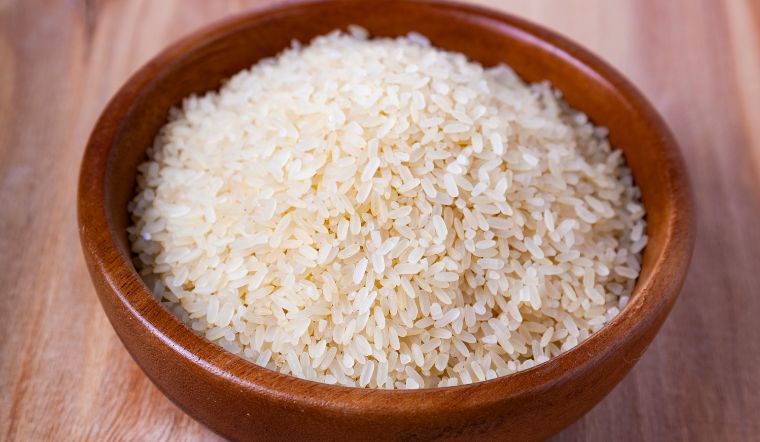 Giá lúa gạo hôm nay 12/4/2024: Lúa OM 380 giảm 100 đồng/kg