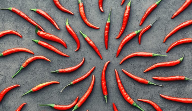 Giá ớt hôm nay 13/04/2024: Đi ngang cuối tuần