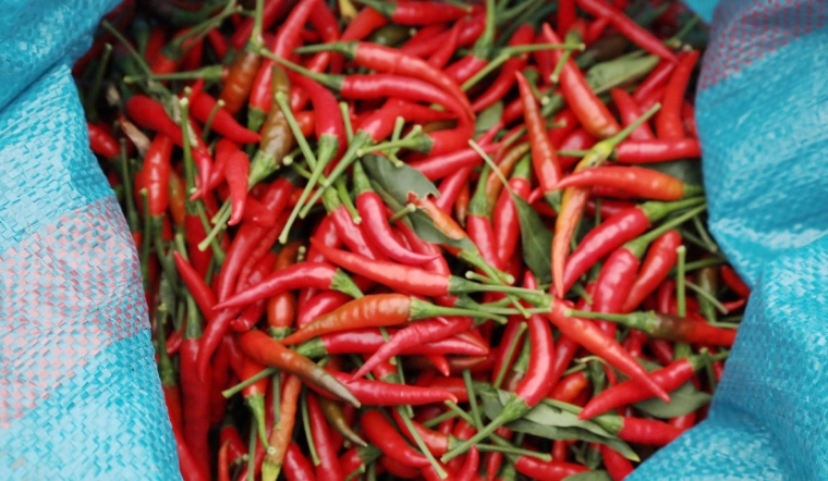 Giá ớt hôm nay 15/04/2024: Thêm 1 ngày ổn định