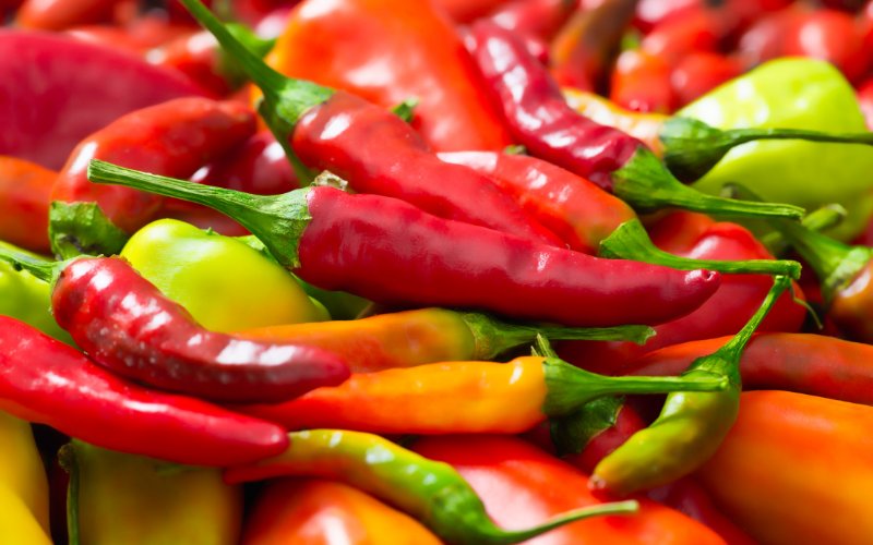 Giá ớt hôm nay 16/04/2024 mới nhất Giá ớt hôm nay 16/04/2024 mới nhất