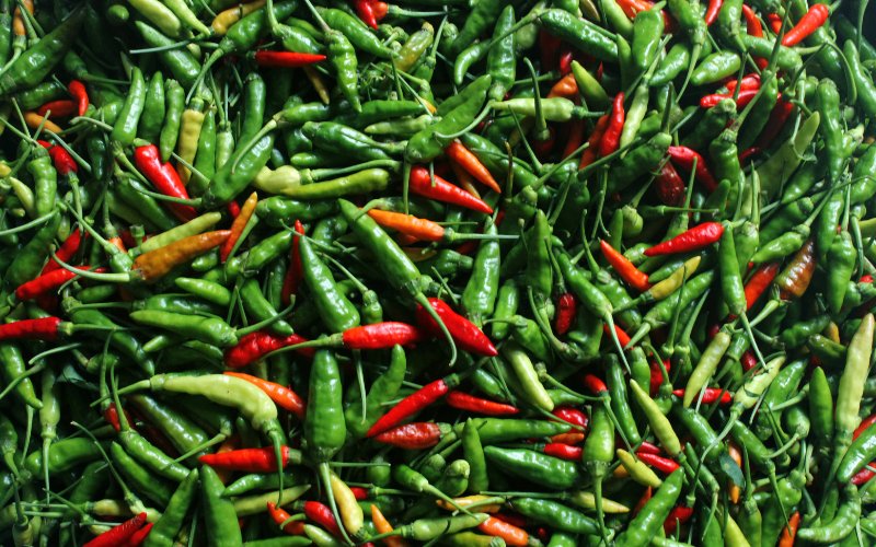 Giá ớt hôm nay 16/04/2024 Giá ớt hôm nay 16/04/2024