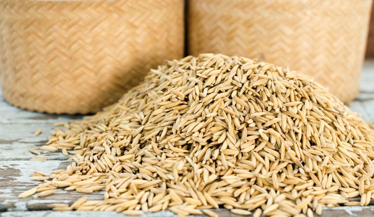 Giá lúa gạo hôm nay 16/4/2024: Biến động nhẹ