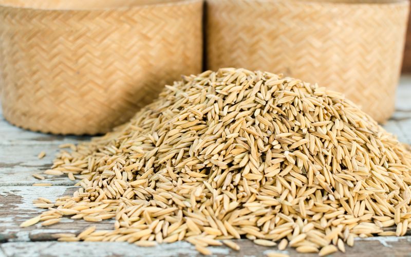 Giá lúa hôm nay 16/4