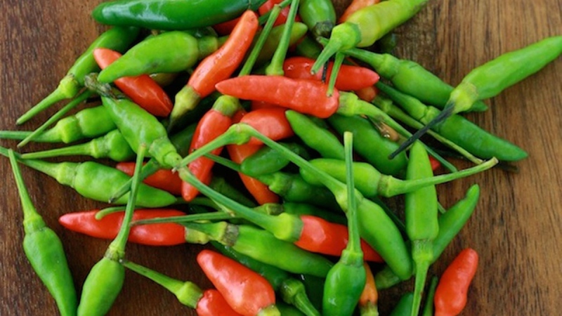 Giá ớt hôm nay 17/04/2024