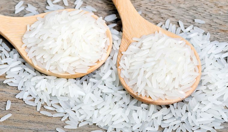 Giá lúa gạo hôm nay 17/4/2024: Vài giống lúa tăng nhẹ