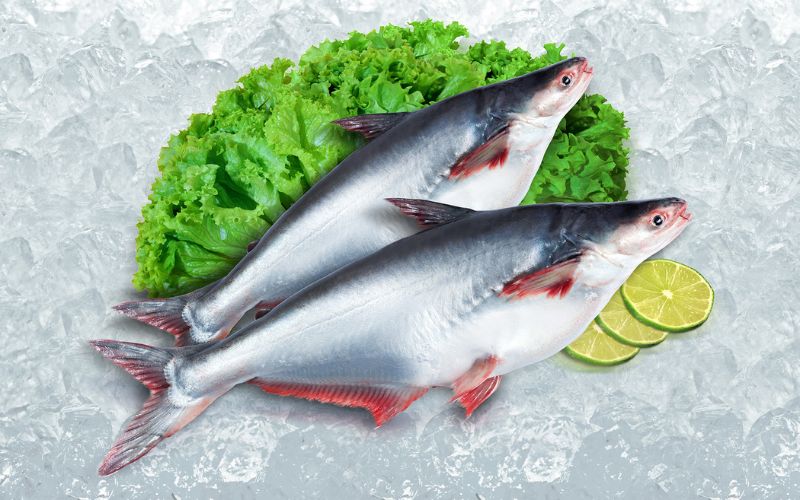 Hàm lượng dinh dưỡng của cá basa