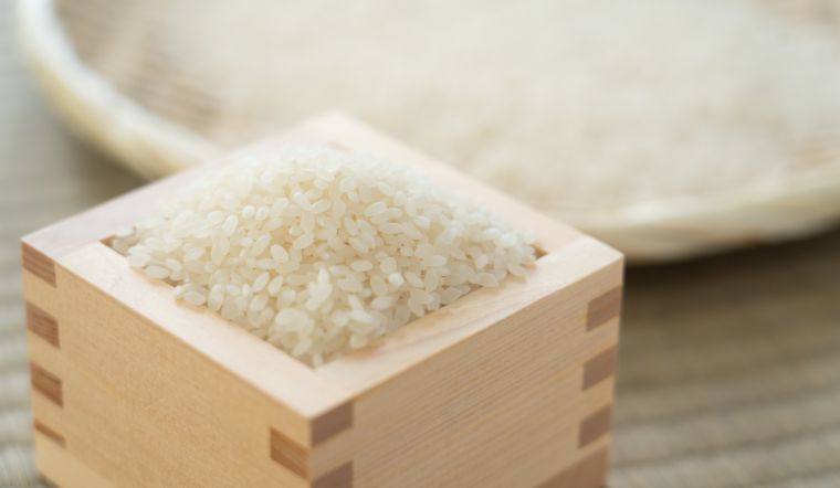 Giá lúa gạo hôm nay 20/4/2024: Tiếp tục đi ngang