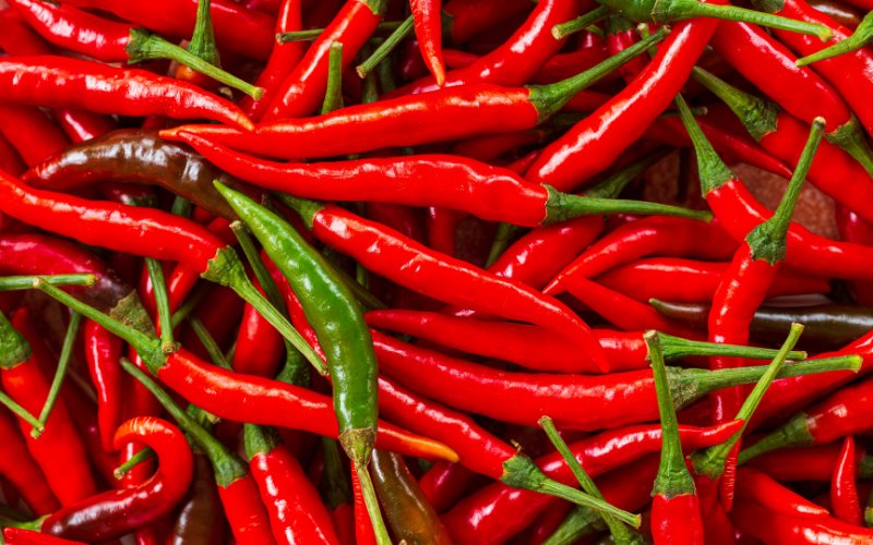 Giá ớt hôm nay 22/04/2024 mới nhất