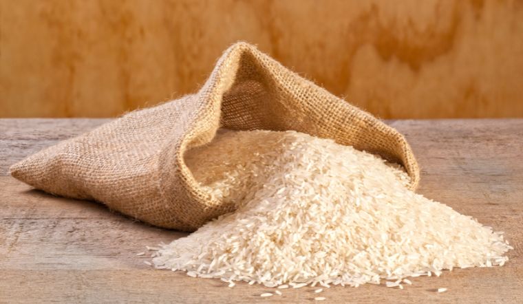 Giá lúa gạo hôm nay 22/4/2024: Không có thay đổi