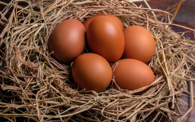 Giá trứng gà hôm nay ngày 23/04 Giá trứng gà hôm nay ngày 23/04