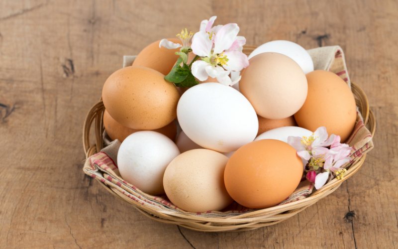 Giá trứng gà hôm nay ngày 24/04 Giá trứng gà hôm nay ngày 24/04