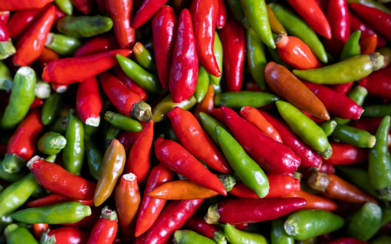 Giá ớt hôm nay 24/04/2024 mới nhất