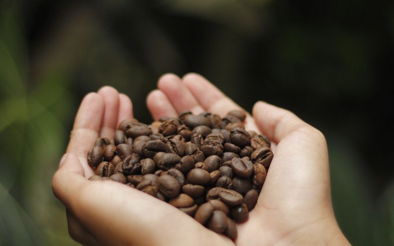 Giá cà phê Arabica giao dịch tại New York